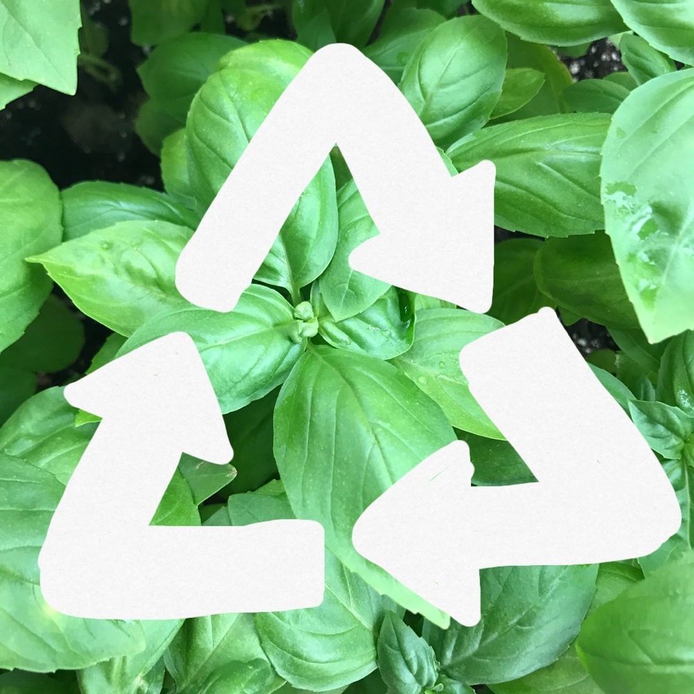 Reduce, Reuse, Recycle! Other used opportunities